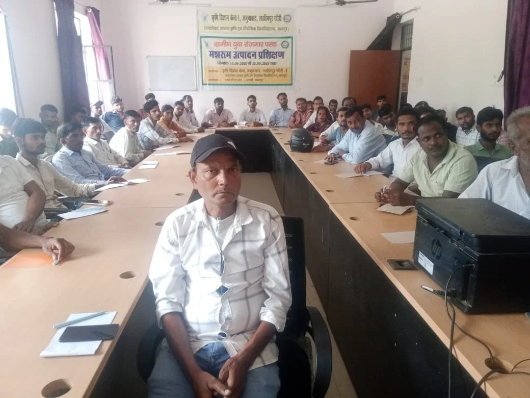 पोषक तत्वों से भरपूर मशरूम: स्वास्थ्य व रोजगार दोनों के लिए उपयोगी