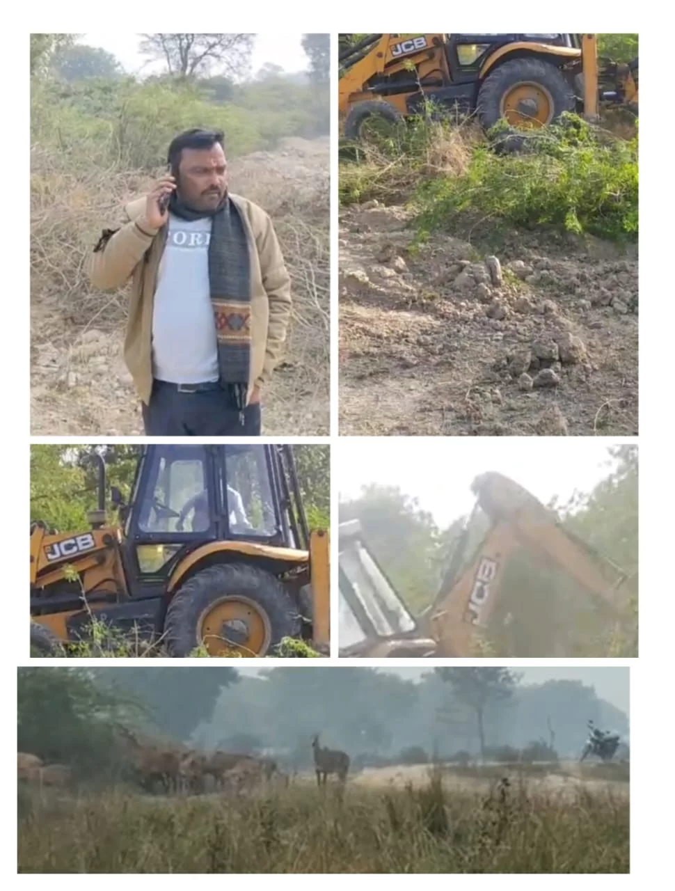 जंगली जानवर रिहायशी इलाकों में भटके