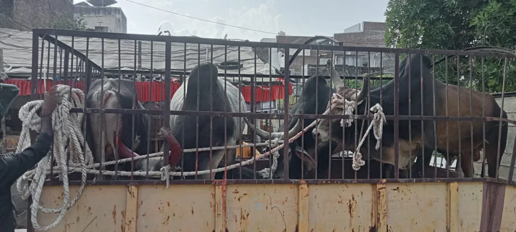 स्वच्छता निरीक्षक के नेतृत्व में एक दल का गठन