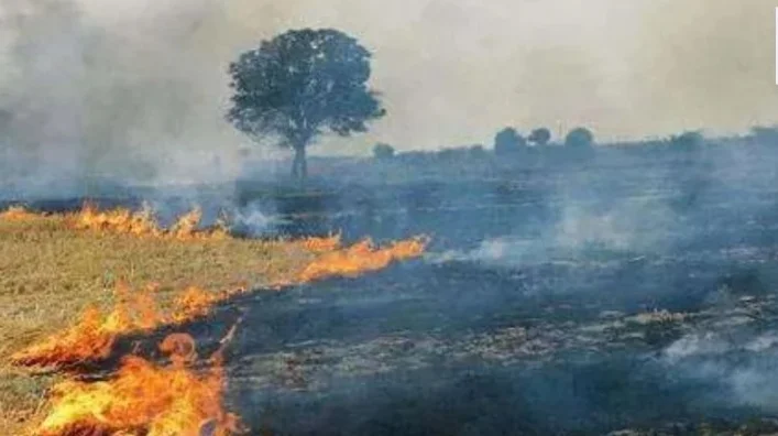 पराली जलाने पर सख्ती, 10 किसानों पर कार्रवाई, बिना एस.एम.एस. चलने वाली 3 कंबाइन हार्वेस्टर सीज