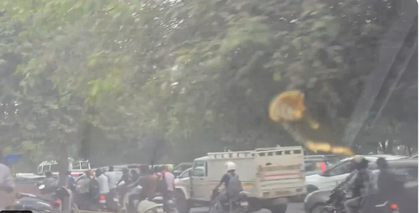 ट्रैफिक जाम के प्रमुख कारणों में खराब ट्रैफिक सिग्नल और सड़कों पर अतिक्रमण शामिल