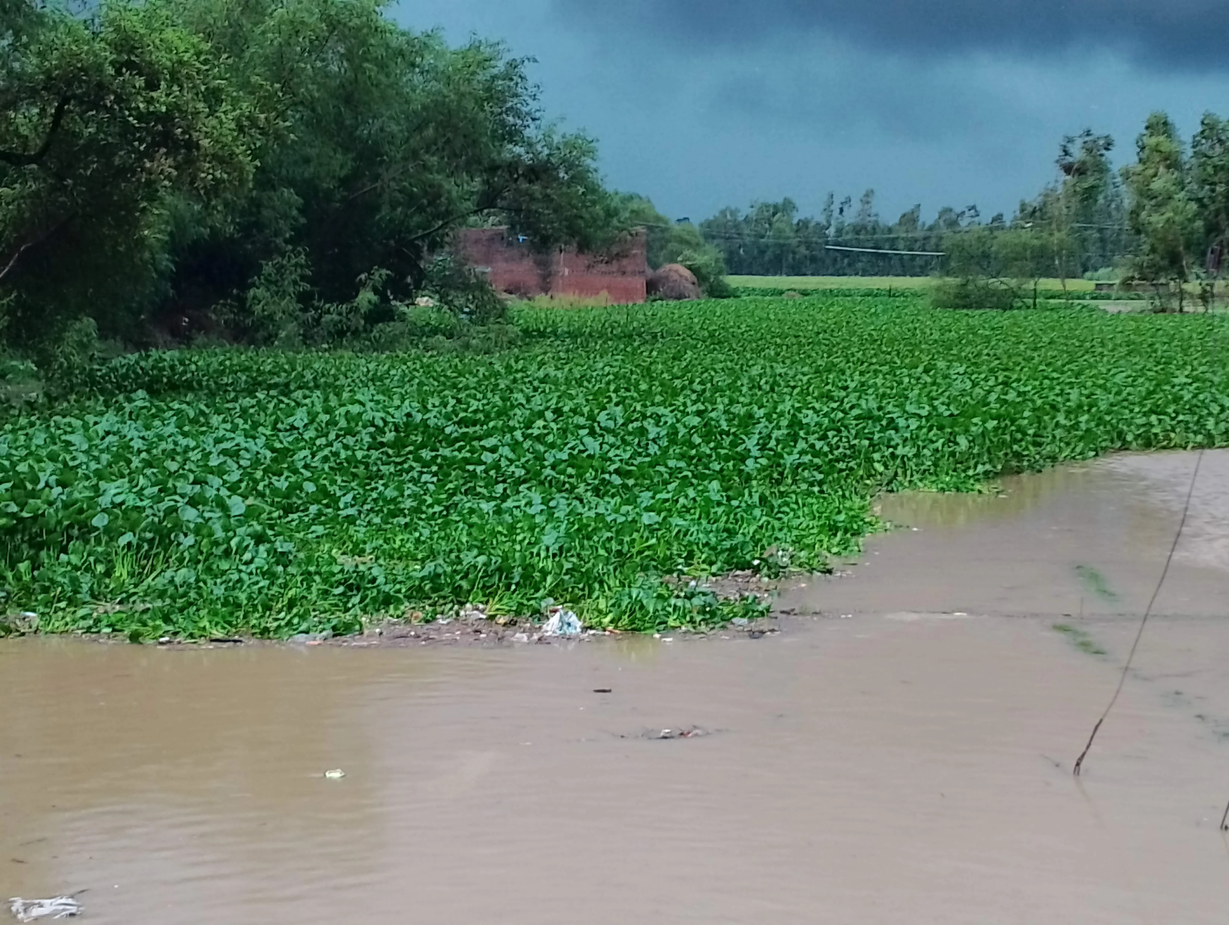 गढ़िया रंगीन - हजरतपुर मार्ग पर ग्रामीणों, छोटे एवं बड़े वाहनों का आवागमन बंद