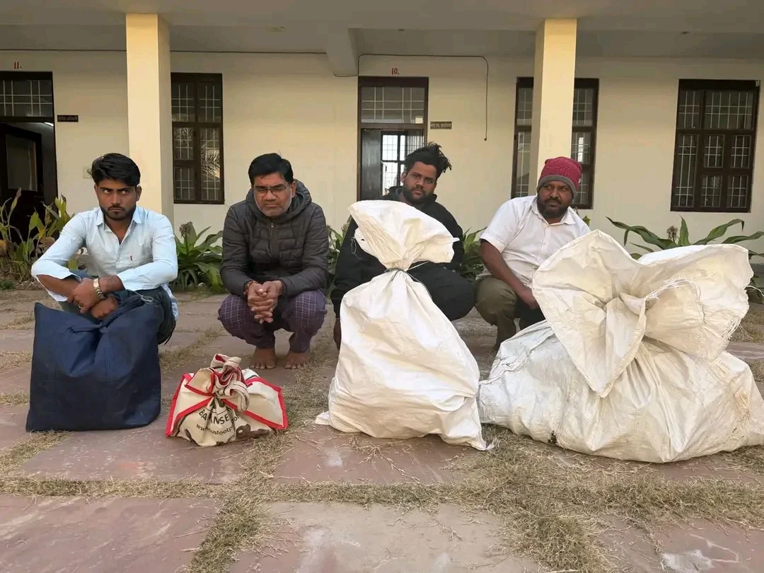 4 आरोपी गिरफ्तार, भारी मात्रा में चाइनीज मांझा जब्त