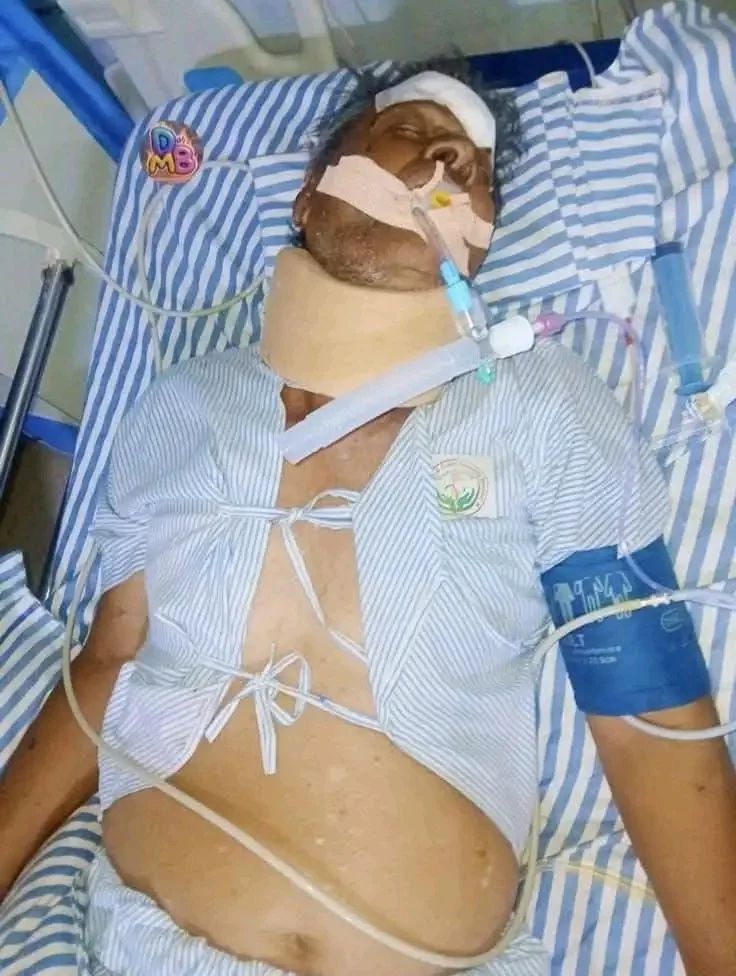 आवारा पशुओं पर नियंत्रण को लेकर उठे सवाल