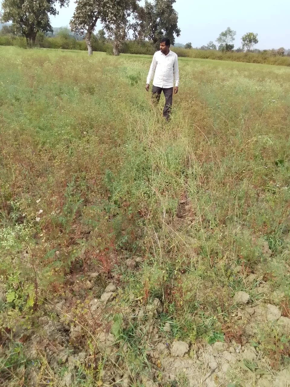 खेतों पर मंडरा रहा खतरा