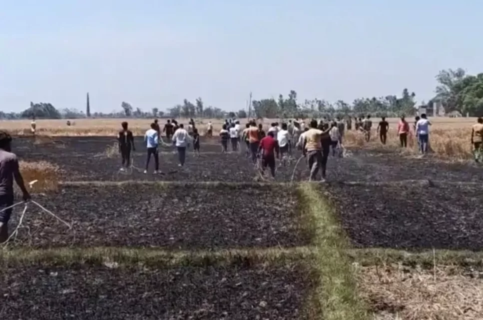 बिजली के तार में शॉर्ट सर्किट से लगी आग, ग्रामीणों ने कई घंटे की मशक्कत के बाद पाया काबू
