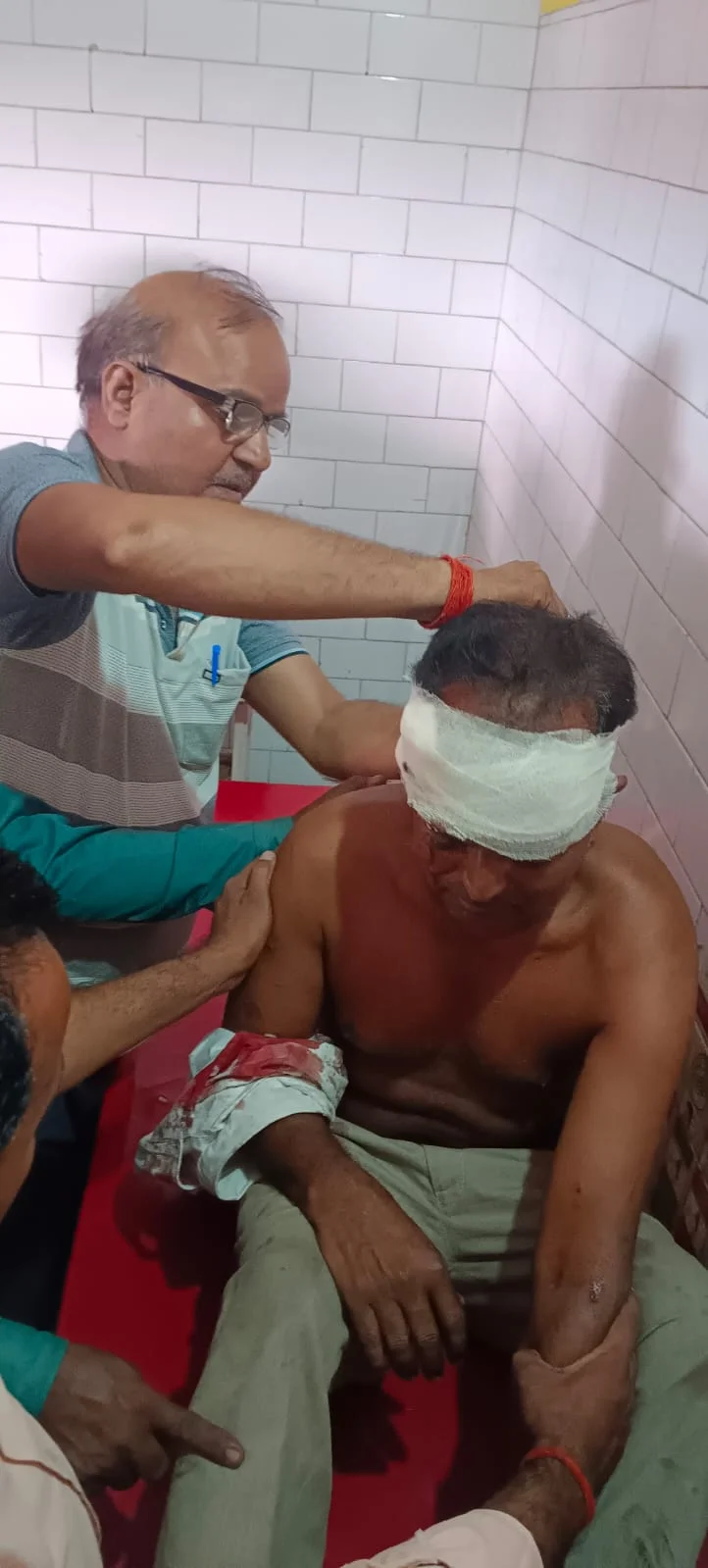 हिंसक वन्य जीव के हमले से पूर्व प्रधान घायल
