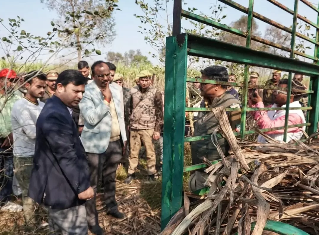 किशोरी की मौत के बाद प्रशासन सक्रिय, वन क्षेत्र में सुरक्षा बढ़ाने के निर्देश