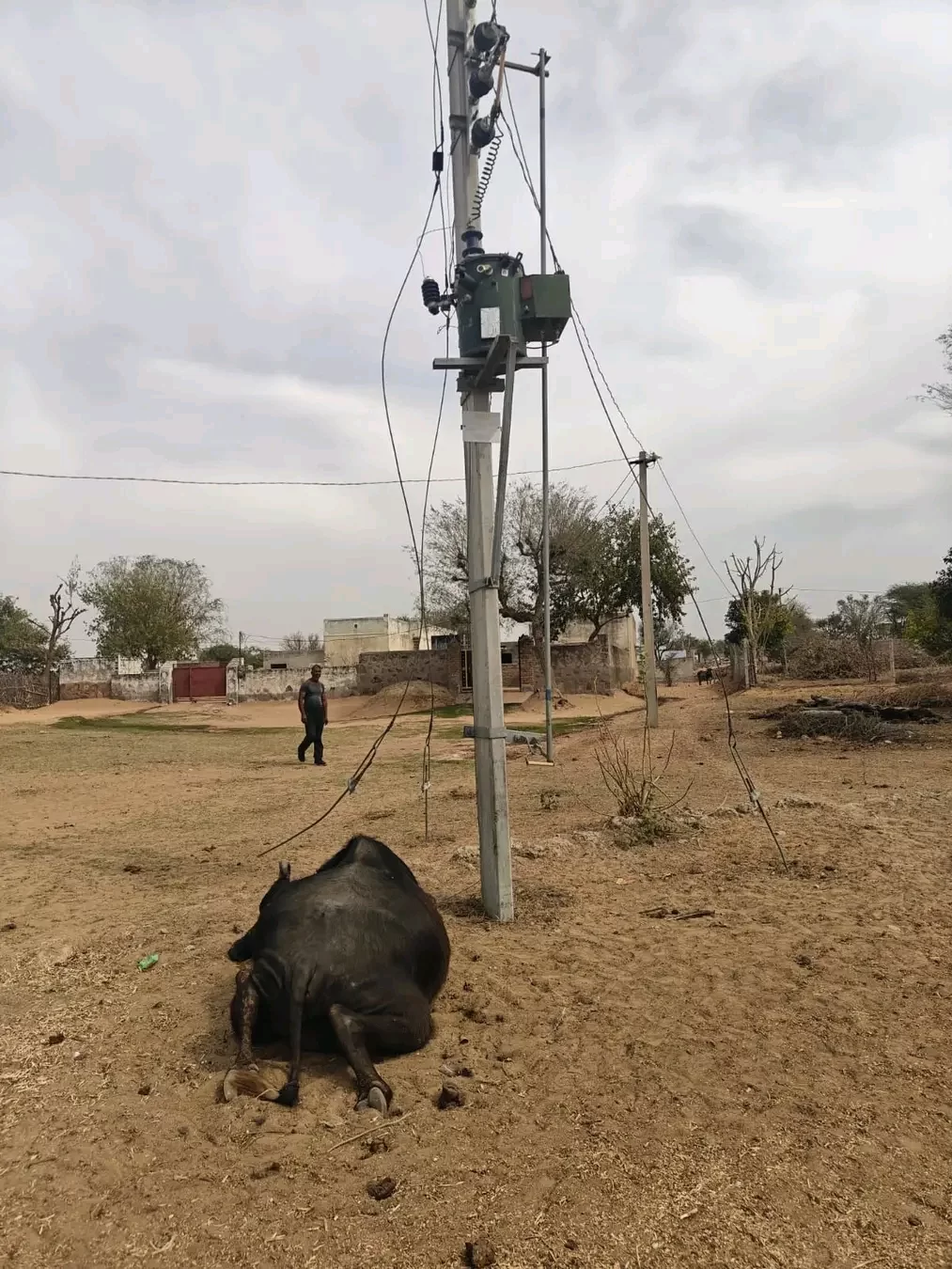 मुआवजे व कार्रवाई की मांग