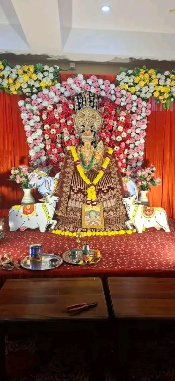 स्थानीय कलाकारों ने प्रस्तुत किए मनमोहक भजन