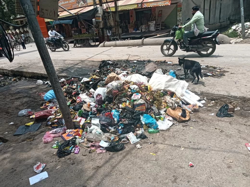 रघुवीरपुरी में शिवपुरी नाले के पास गंदगी का अंबार
