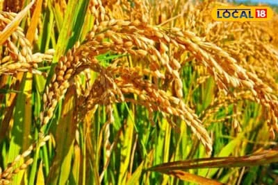 डीडीसी ने 24घंटे के अंदर स्पष्टीकरण का जवाब मांगा है