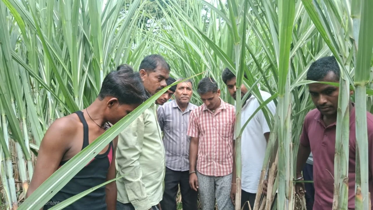 वनरक्षक अफजाल हुसैन ने दी ग्रामीणों को सावधानी बरतने की सलाह