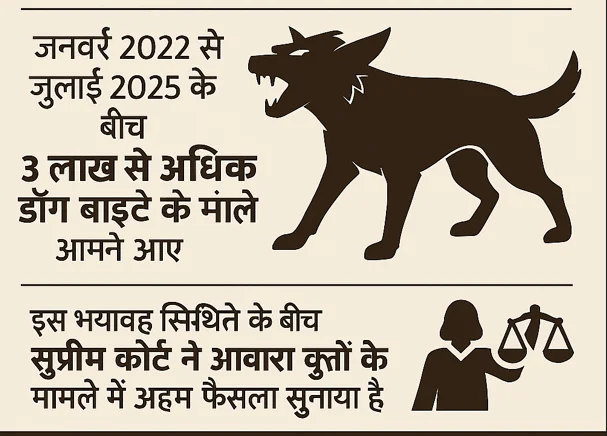 सुप्रीम कोर्ट का अहम फैसला, नगर निगम ने कसी कमर