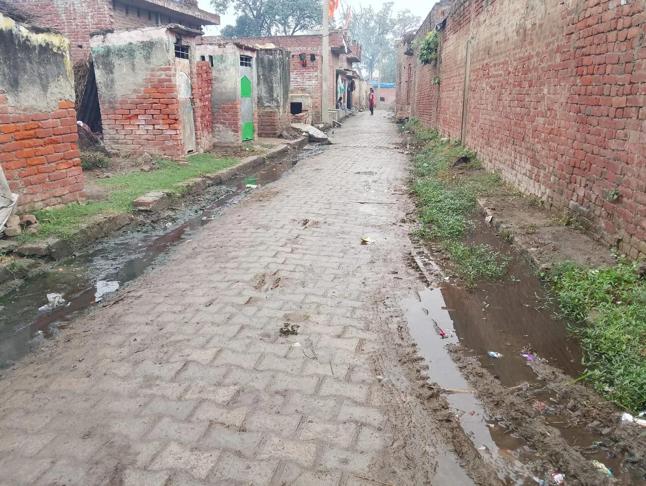 नालियों की सफाई लंबे समय से न होने के चलते दुर्गंध फैल रही है,