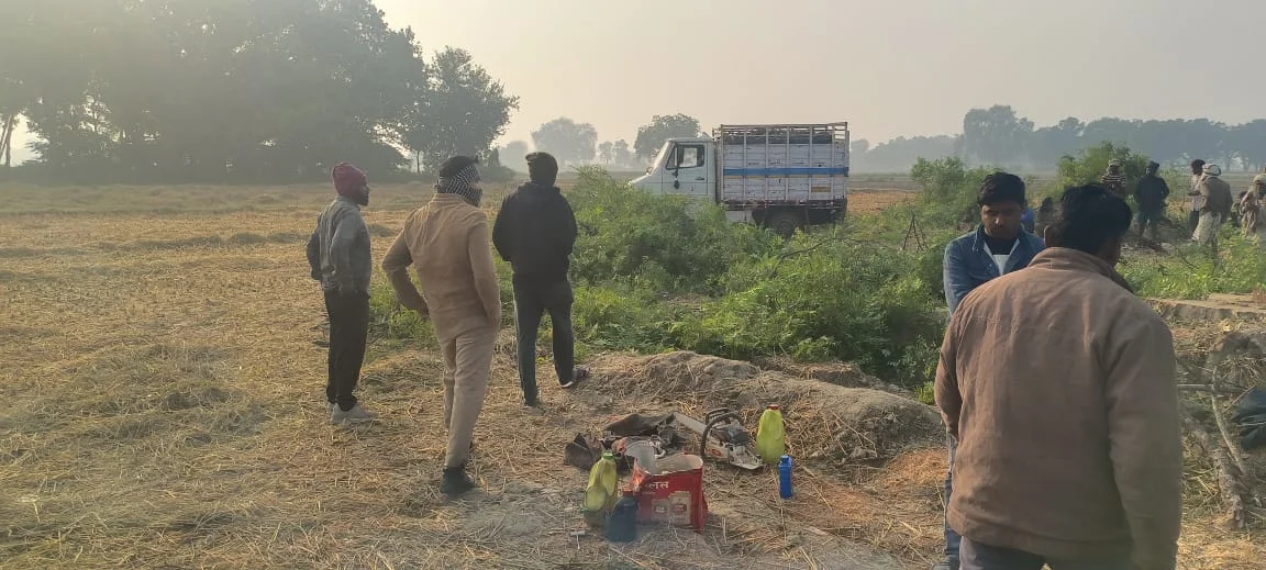 कौशांबी: परमिशन के नाम पर काटे जा रहे हरे पेड़, सिराथू क्षेत्र में हरियाली पर संकट