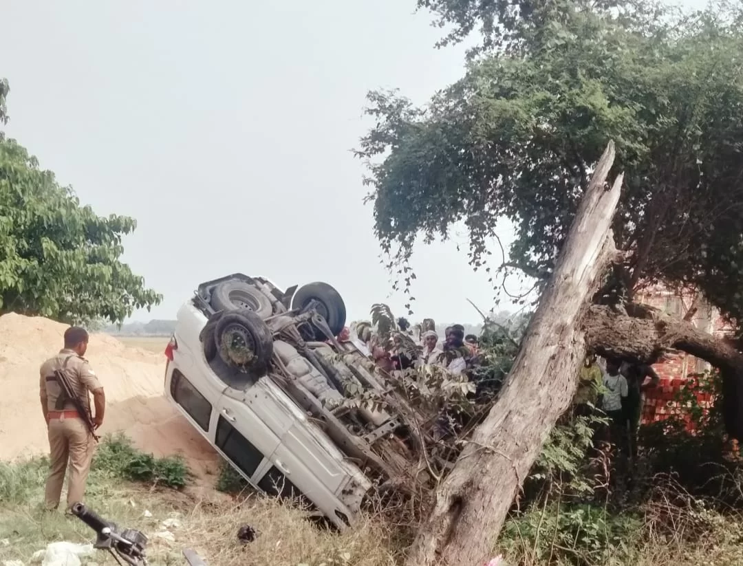 खेत में काम कर रहे दंपती घायल