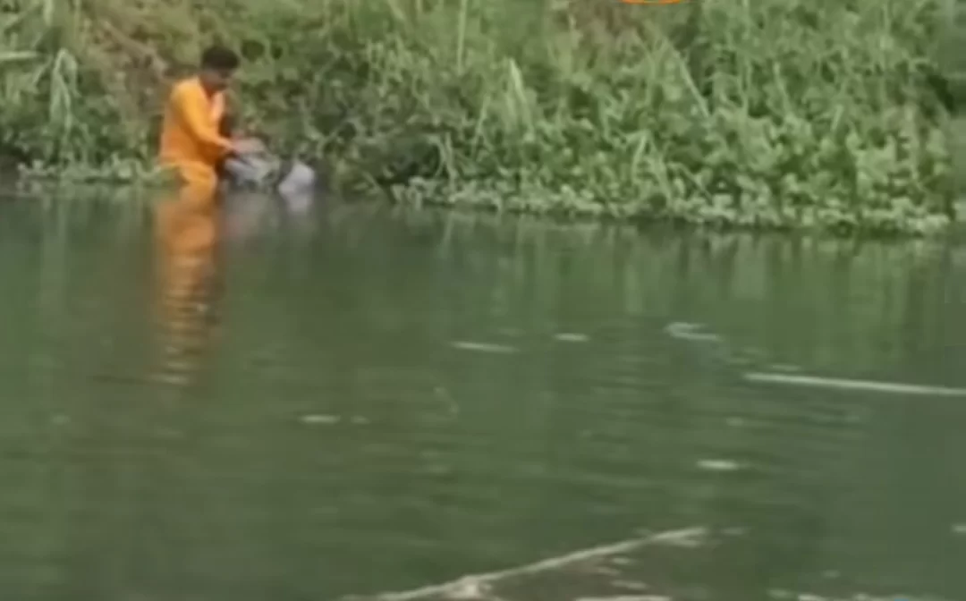 लगाई छलांग, युवक ने बचाई जान