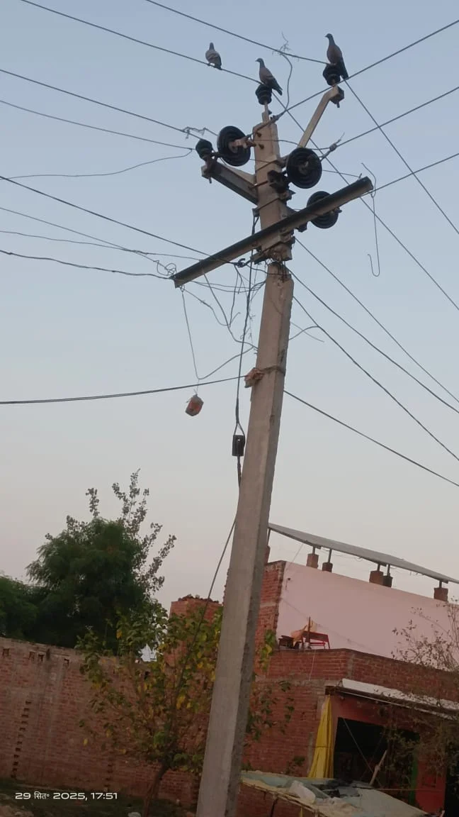 ग्रामीणों में दहशत