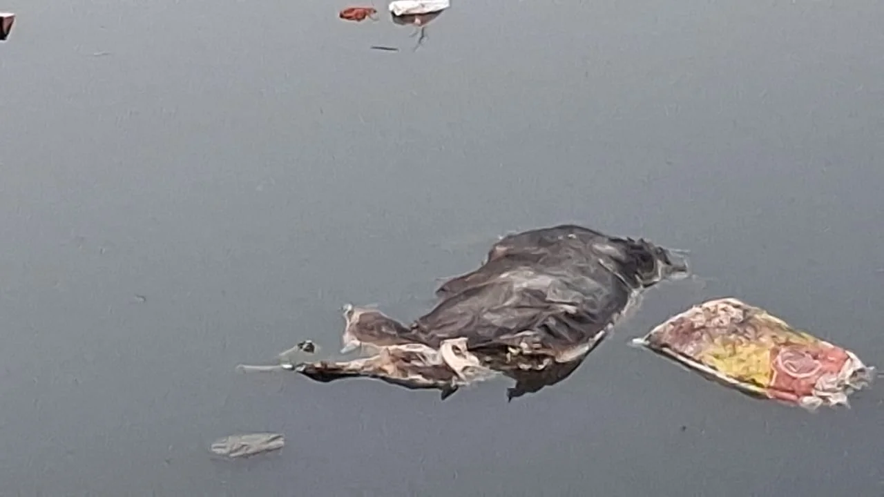 विभागीय लापरवाही पर उठे सवाल